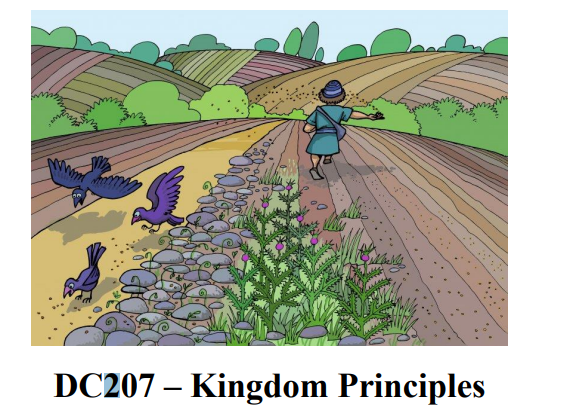 DC207 KINGDOM PRINCIPLES